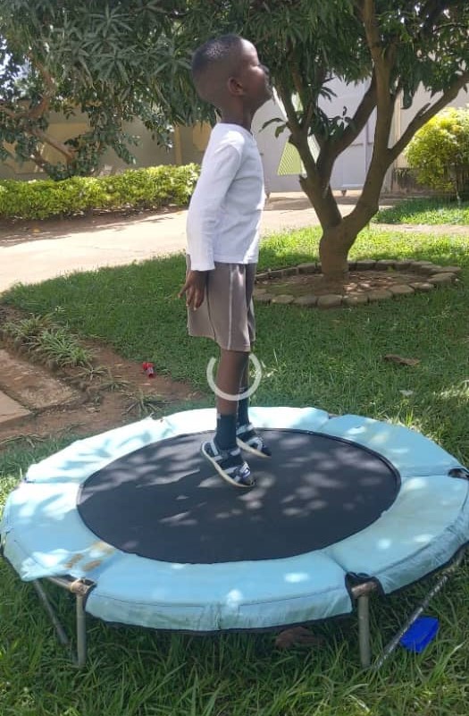 Occupational Therapy (OT)