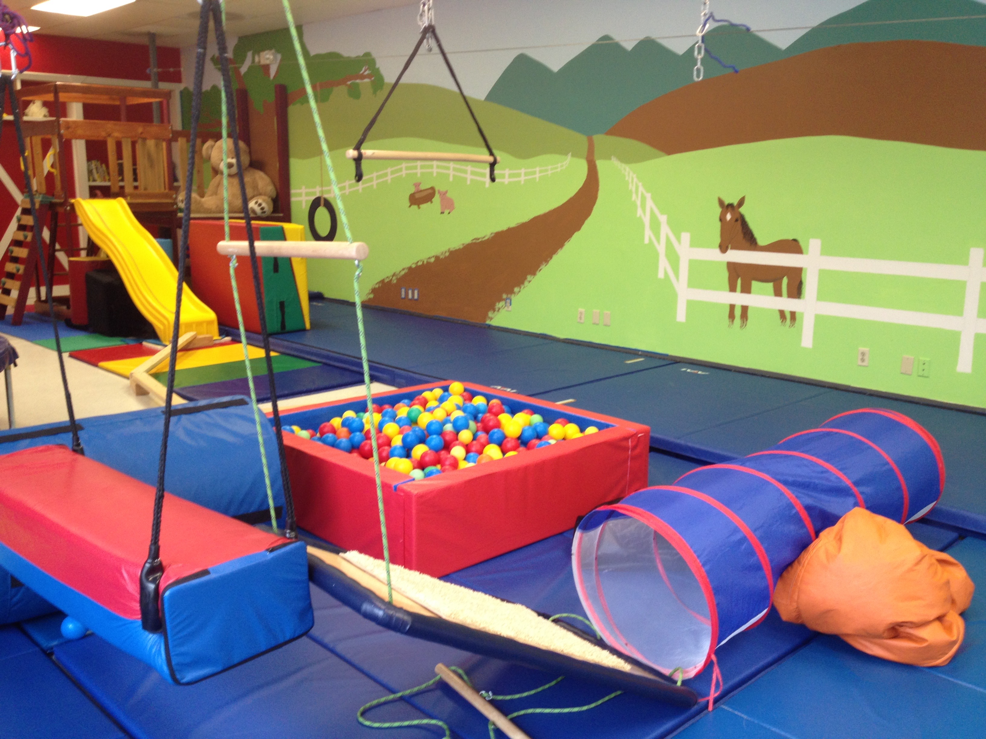 Sensory Integration Therapy (SI)